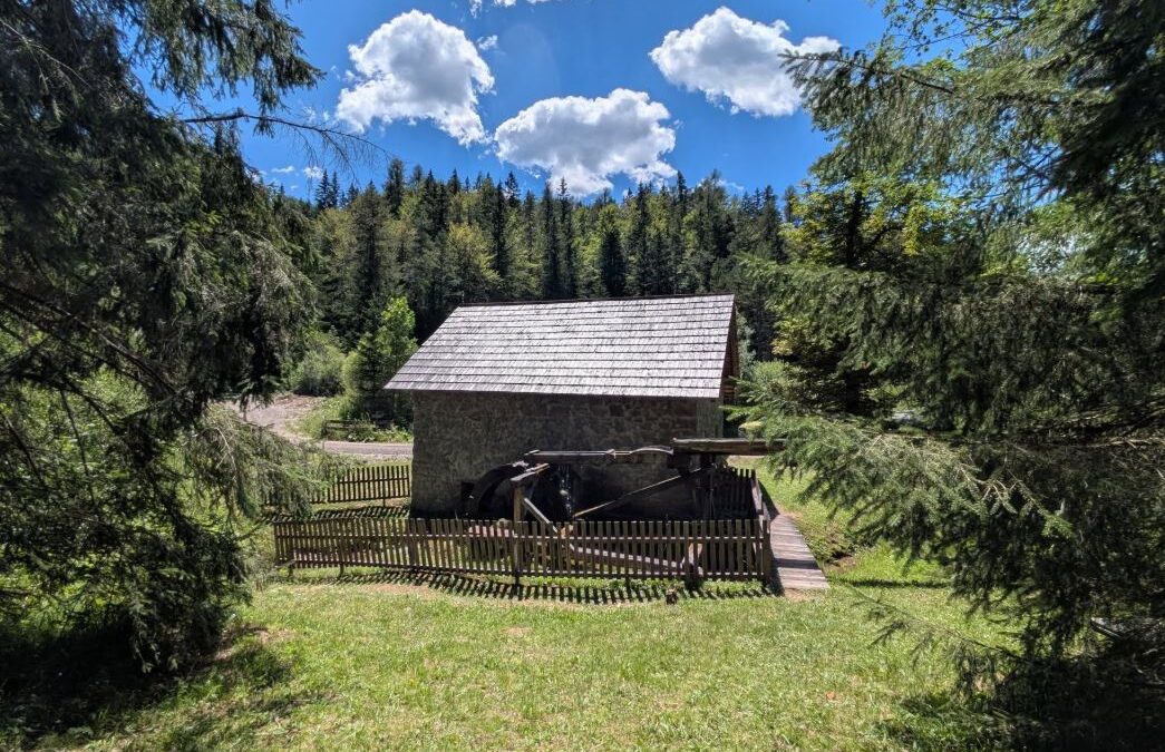 Pohod po delu GTP Plešivec do Plešivškega mlina